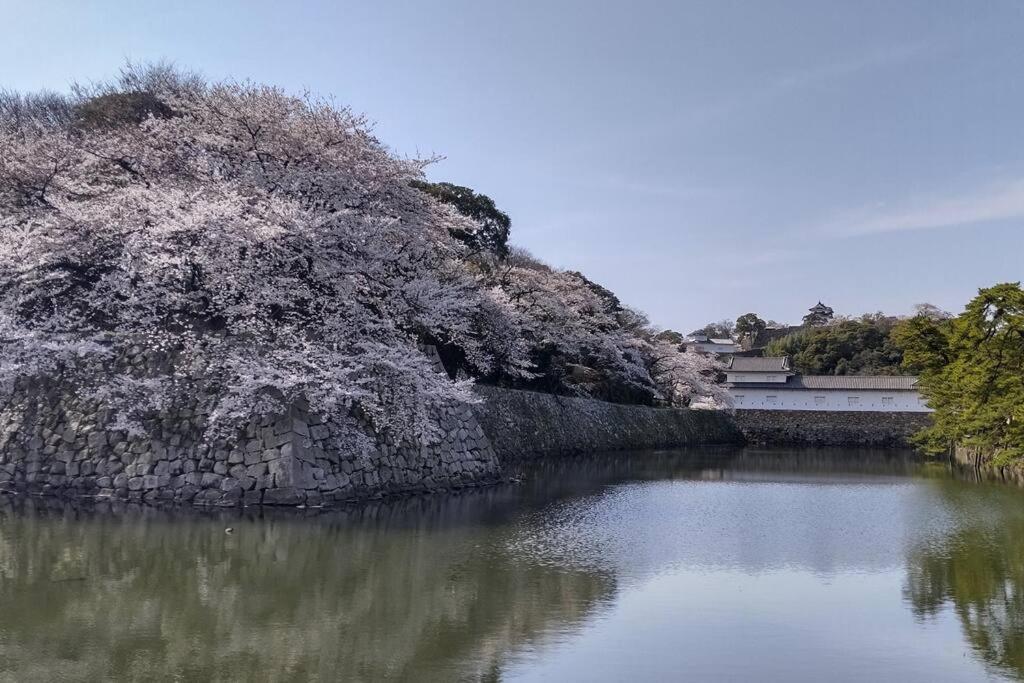 Villa Hikone Castle ภายนอก รูปภาพ